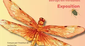 Exposition : Les insectes au secours de la planète